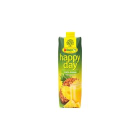 Rauch Happy Day ananász 100% 1l